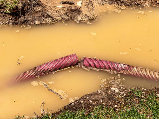 Best Water damage restoration cost  in Hawthorne, NJ